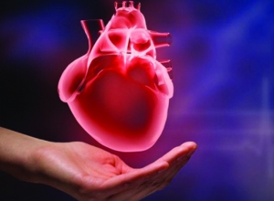 Vì sao nam giới dễ mắc bệnh tim sớm hơn phụ nữ?